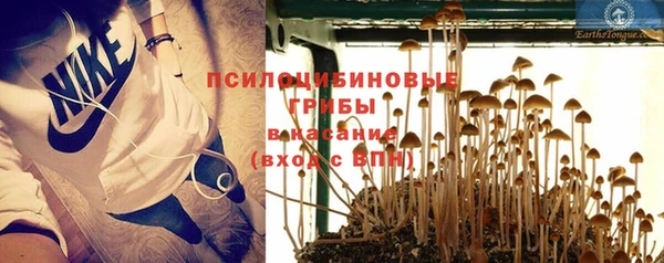 стаф Костерёво