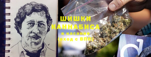 мяу мяу кристалл Корсаков