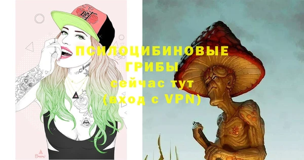 мяу мяу кристалл Корсаков